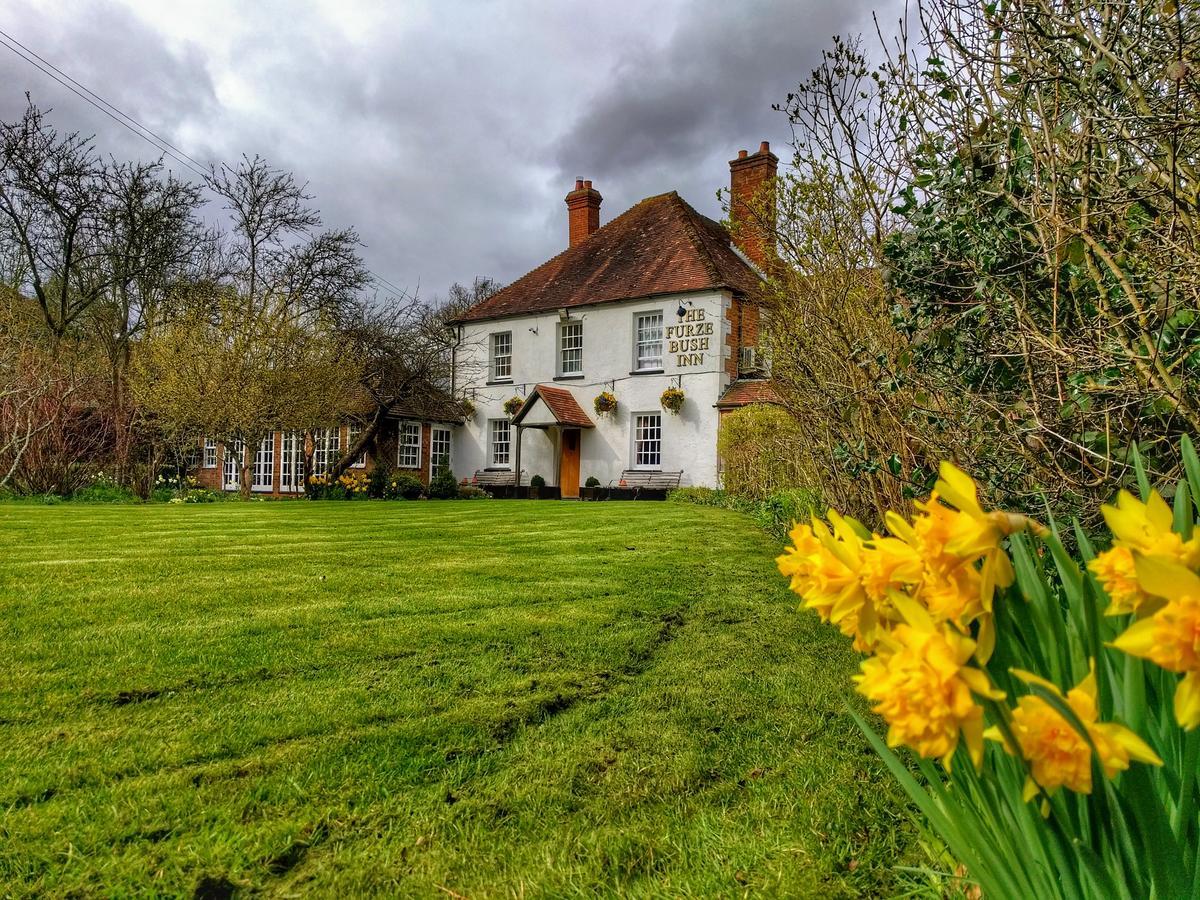 The Furze Bush Inn ニューベリー エクステリア 写真
